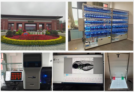 1774595938563376.png image.png