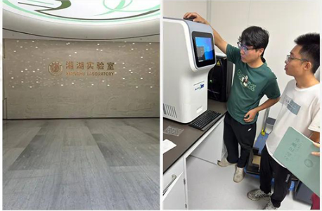 1775808009204732.png image.png